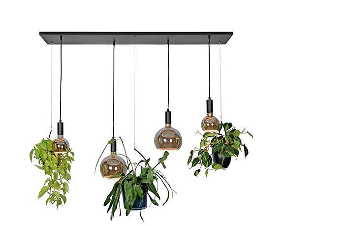 Hanglamp combi planten Bryggen Ztahl
