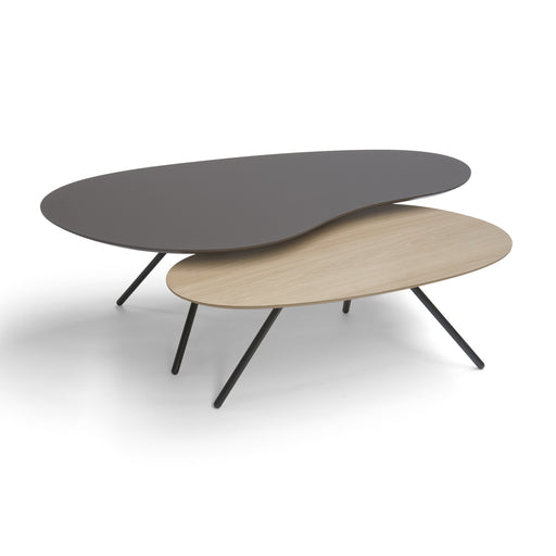 Cloudy-organische-salontafels-eiken-antraciet