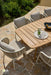 apple bee dining chair oyster pine key