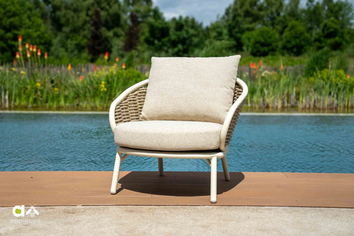 apple bee loungechair pine key oyster