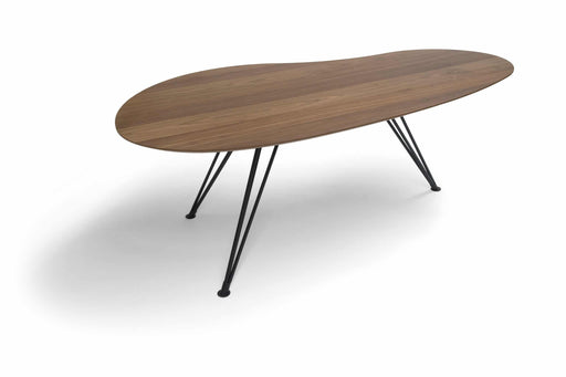 cloudy-eettafel-ovaal-noten-eetkamer-ideeen-modern-design-breesnewworld