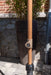 luxe stokparasol houtlook zandkleurig doek azzurro 300 cm Ø van 4 seasons outdoor
