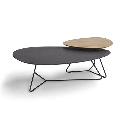 Naturel-Zwart-Oak-XLsalontafel-vdpol